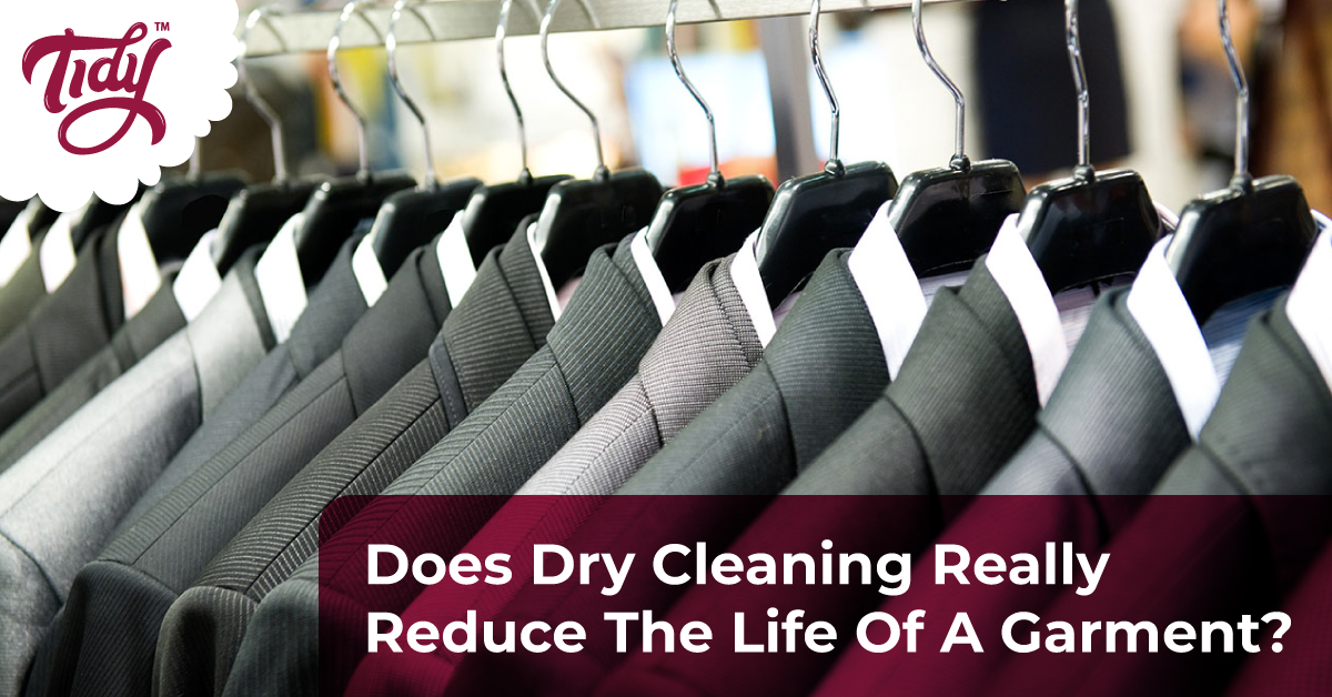 https://tidylaundry.com/wp-content/uploads/2019/04/drycleaning-sevices-in-chennai.png